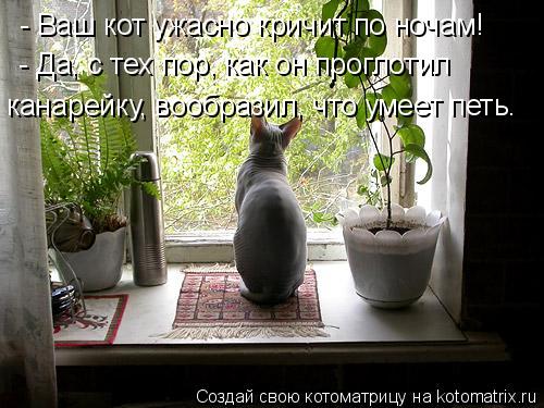 Котоматрица: - Ваш кот ужасно кричит по ночам!  - Да, с тех пор, как он проглотил  канарейку, вообразил, что умеет петь.