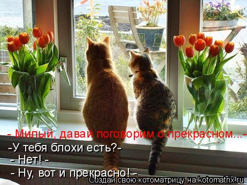 Котоматрица: - Милый, давай поговорим о прекрасном...- -У тебя блохи есть?-  - Нет! - - Ну, вот и прекрасно! -