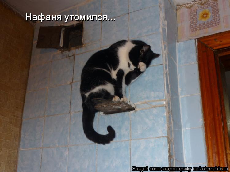 Котоматрица: Нафаня утомился...