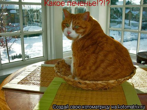 Котоматрица: Какое печенье!?!?