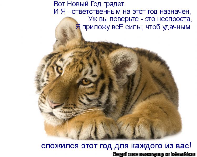 Котоматрица: Вот Новый Год грядет. И Я - ответственным на этот год назначен, Уж вы поверьте - это неспроста,  Я приложу всЕ силы, чтоб удачным сложился этот 