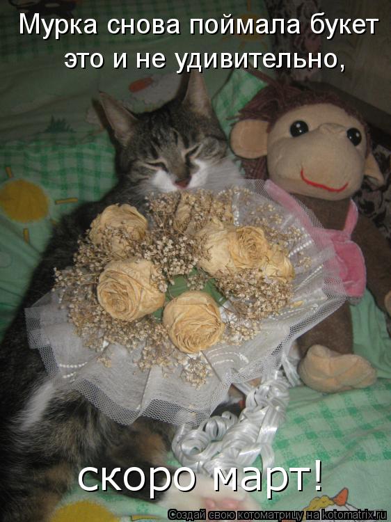 Котоматрица: Мурка снова поймала букет это и не удивительно, скоро март!