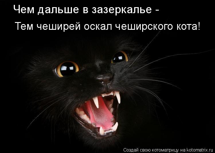 Котоматрица: Чем дальше в зазеркалье - Тем чеширей оскал чеширского кота!