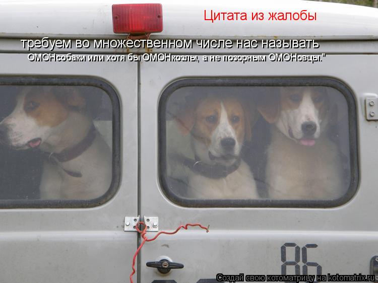 Котоматрица: Цитата из жалобы требуем во множественном числе нас называть ОМОНсобаки или хотя бы ОМОНкозлы, а не позорным ОМОНовцы."