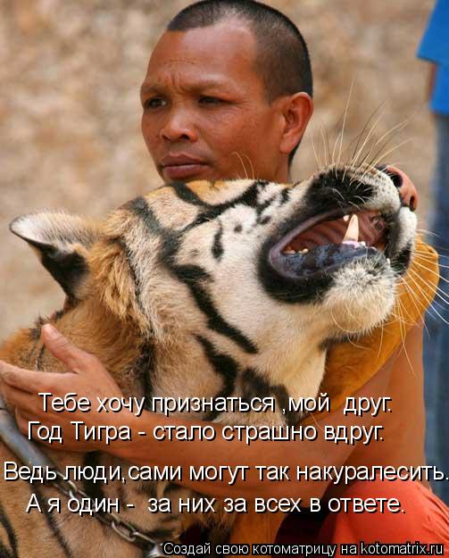 Котоматрица: Тебе хочу признаться ,мой  друг. Год Тигра - стало страшно вдруг. Ведь люди,сами могут так накуралесить... А я один -  за них за всех в ответе.