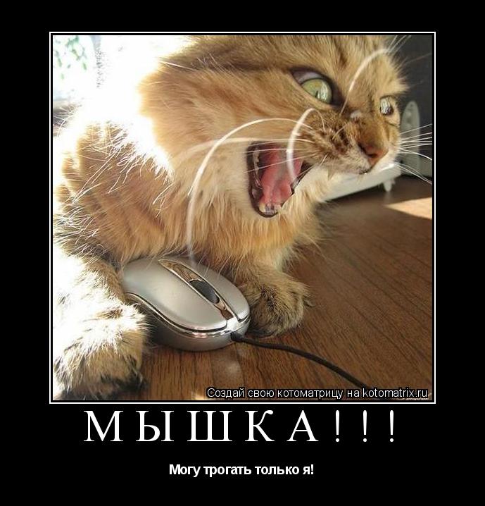Котоматрица: Мышка!!! Могу трогать только я!