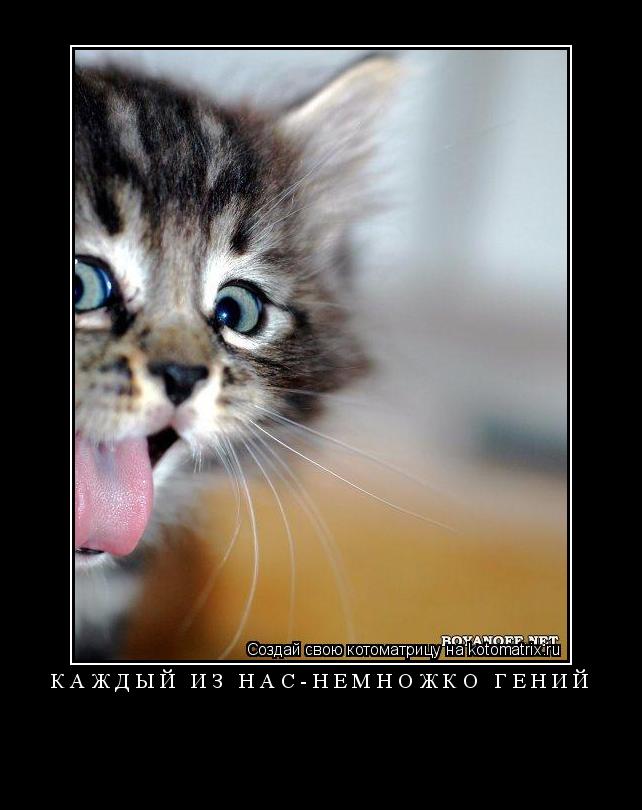 Котоматрица: каждый из нас-немножко гений 