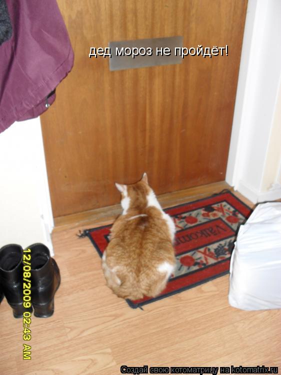 Котоматрица: дед мороз не пройдёт!