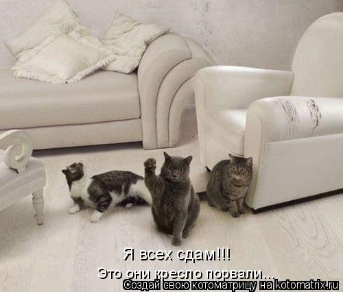 Я всех сдам!!! Это они кресло порвали...... Котоматрица: Я всех сдам!!! Это они кресло порвали...