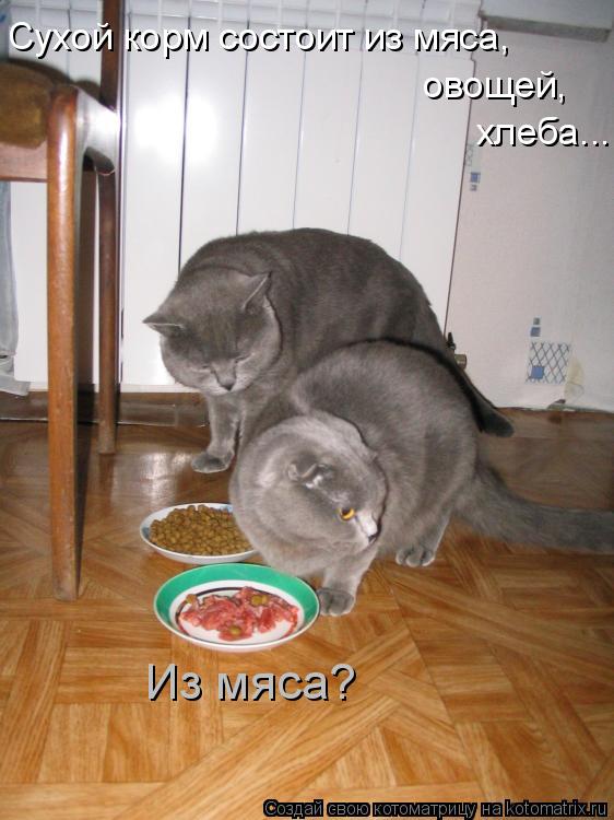 Сухой корм состоит из мяса, овощей, хлеба... Из мяса?... Котоматрица: Сухой корм состоит из мяса, овощей, хлеба... Из мяса?