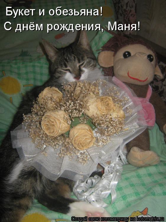 Букет и обезьяна! С днём рождения, Маня!... Котоматрица: Букет и обезьяна! С днём рождения, Маня!