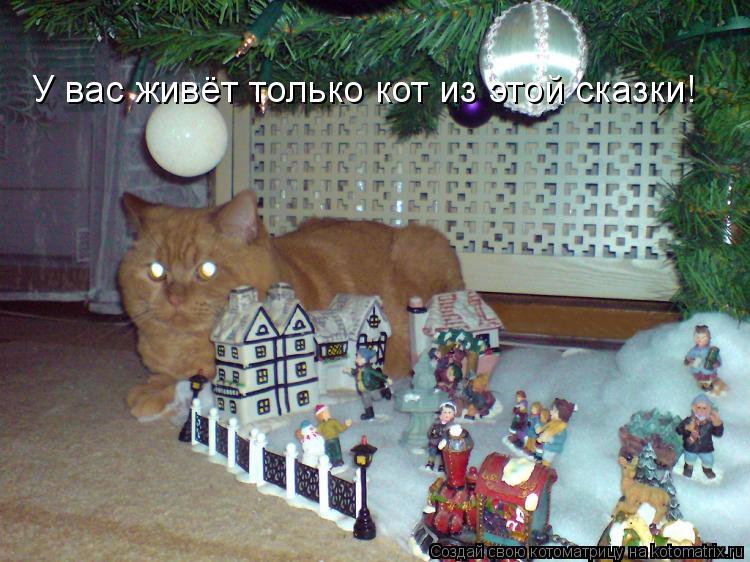 У вас живёт только кот из этой сказки!... Котоматрица: У вас живёт только кот из этой сказки!