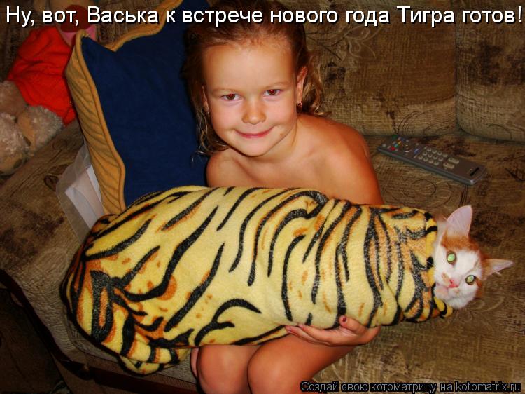 Котоматрица: Ну, вот, Васька к встрече нового года Тигра готов!
