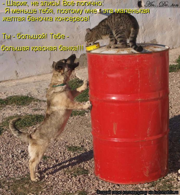 - Шарик, не злись! Всё логично: желтая баночка консервов! Я меньше тебя, поэтому мне - эта маленькая ... Котоматрица: - Шарик, не злись! Всё логично: желтая баночка консервов! Я меньше тебя, поэтому мне - эта маленькая большая красная банка!!! Ты - большой! Тебе -
