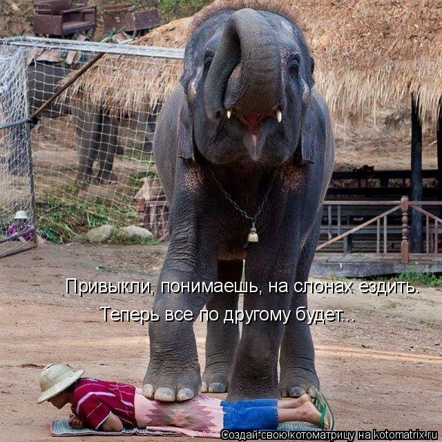 Привыкли, понимаешь, на слонах ездить. Теперь все по другому будет...... Котоматрица: Привыкли, понимаешь, на слонах ездить. Теперь все по другому будет...