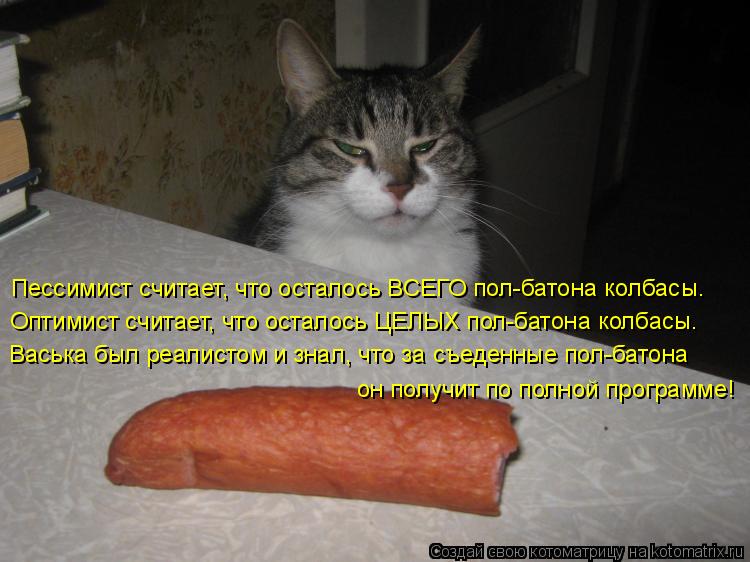 Котоматрица: Пессимист считает, что осталось ВСЕГО пол-батона колбасы. Оптимист считает, что осталось ЦЕЛЫХ пол-батона колбасы. Васька был реалистом и з