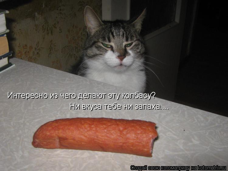 Котоматрица: Интересно из чего делают эту колбасу? Ни вкуса тебе ни запаха....