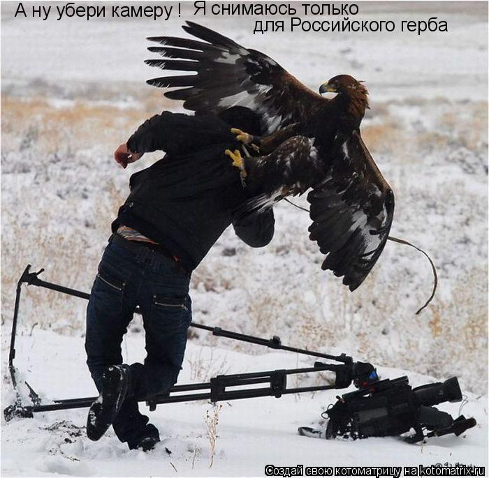 Котоматрица: А ну убери камеру ! Я снимаюсь только  для Российского герба