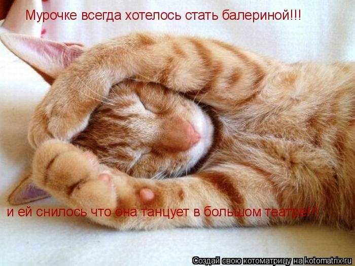 Котоматрица: Мурочке всегда хотелось стать балериной!!! и ей снилось что она танцует в большом театре!!!