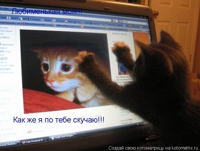 Котоматрица: Любименькая моя!!! Как же я по тебе скучаю!!!