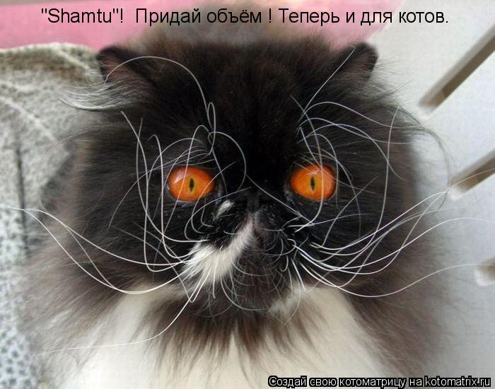 Котоматрица: "Shamtu"!  Придай объём ! Теперь и для котов.