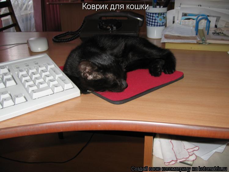 Котоматрица: Коврик для кошки