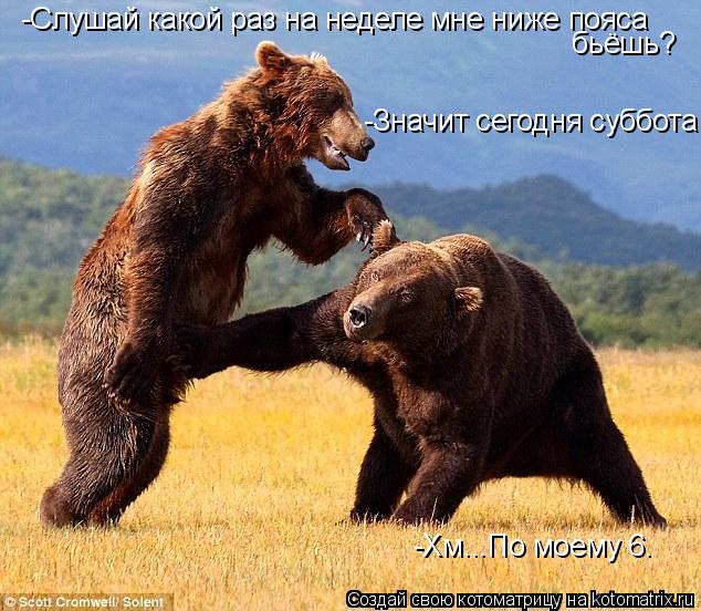 Котоматрица: -Слушай какой раз на неделе мне ниже пояса  бьёшь? -Хм...По моему 6. -Значит сегодня суббота