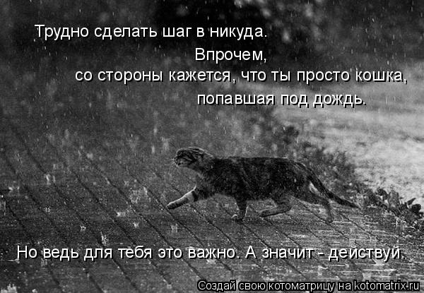 Котоматрица: Трудно сделать шаг в никуда. со стороны кажется, что ты просто кошка, Впрочем, попавшая под дождь. Но ведь для тебя это важно. А значит - дейст