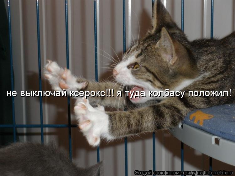 Котоматрица: не выключай ксерокс!!! я туда колбасу положил!
