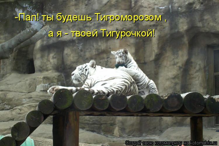 Котоматрица: -Пап! ты будешь Тигроморозом ,  а я - твоей Тигурочкой!