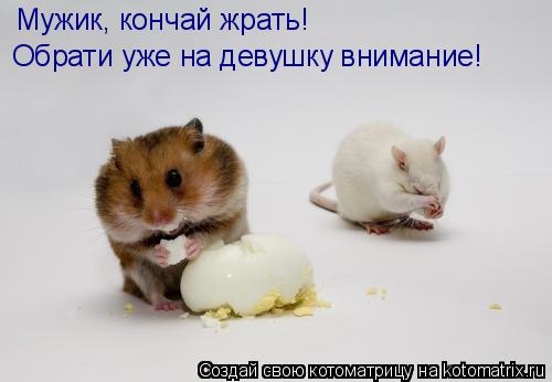 Мужик, кончай жрать! Обрати уже на девушку внимание!... Котоматрица: Мужик, кончай жрать! Обрати уже на девушку внимание!