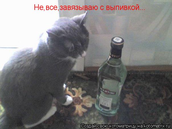 Котоматрица: Не,все,завязываю с выпивкой...