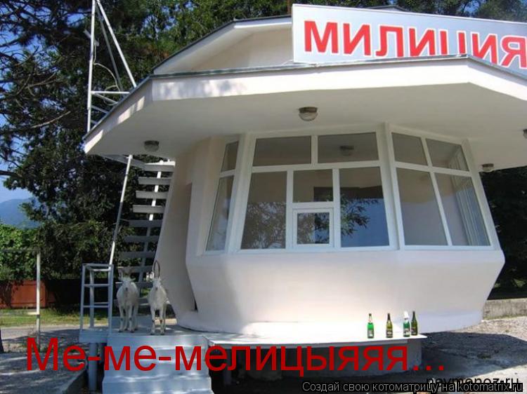 Котоматрица: Ме-ме-мелицыяяя...
