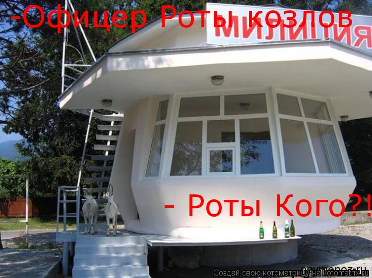 Котоматрица: -Офицер Роты козлов - Роты Кого?!