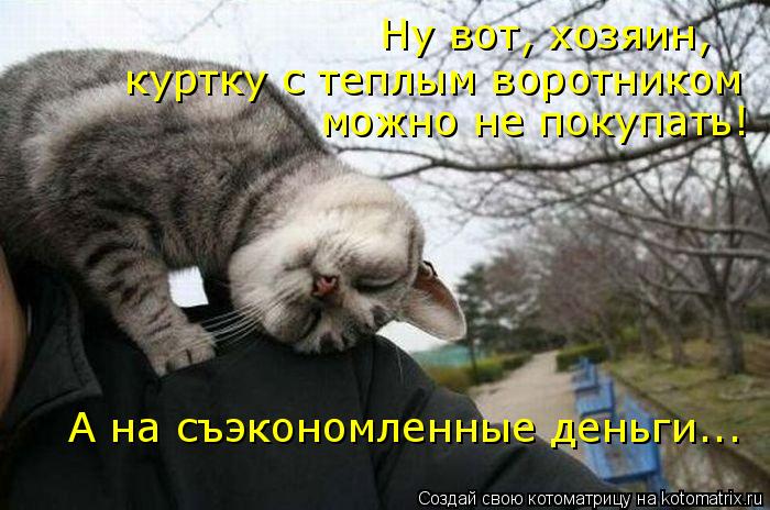 Котоматрица: Ну вот, хозяин, куртку с теплым воротником  можно не покупать! А на съэкономленные деньги...