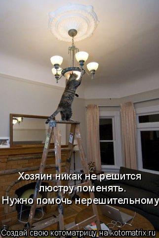 Хозяин никак не решится люстру поменять. Нужно помочь нерешительному!... Котоматрица: Хозяин никак не решится люстру поменять. Нужно помочь нерешительному!