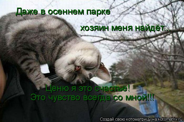 Даже в осеннем парке хозяин меня найдёт... Ценю я это счастье! Это чувство всегда со мной!!!... Котоматрица: Даже в осеннем парке хозяин меня найдёт... Ценю я это счастье! Это чувство всегда со мной!!!