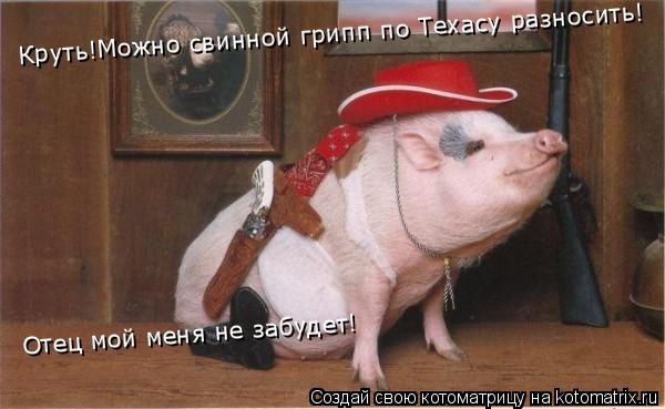 Круть!Можно свинной грипп по Техасу разносить! Отец мой меня не забудет!... Котоматрица: Круть!Можно свинной грипп по Техасу разносить! Отец мой меня не забудет!