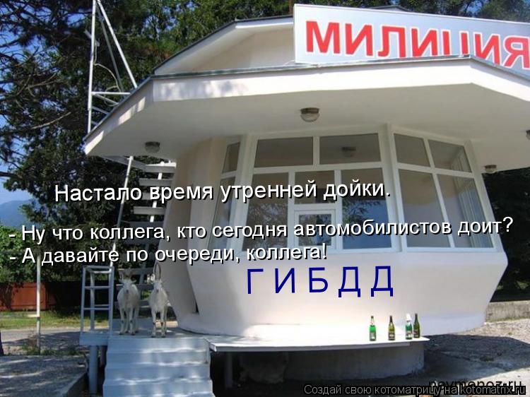 Котоматрица: Г И Б Д Д - Ну что коллега, кто сегодня автомобилистов доит? Настало время утренней дойки. - А давайте по очереди, коллега!
