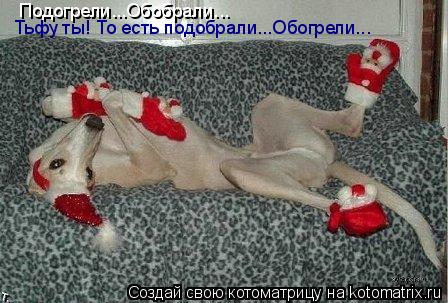 Котоматрица: Подогрели...Обобрали...Тьфу-ты! -Обогрели...Подобрали Подогрели...Обобрали... Тьфу ты! То есть подобрали...Обогрели...