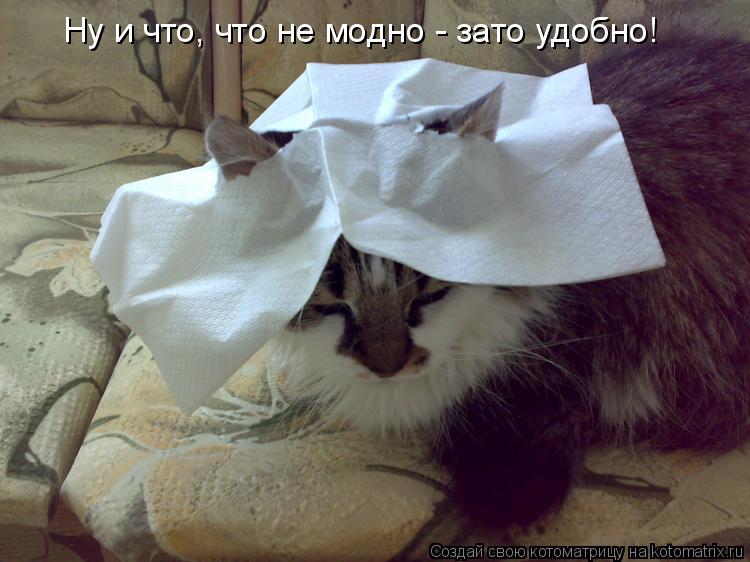 Котоматрица: Ну и что, что не модно - зато удобно!