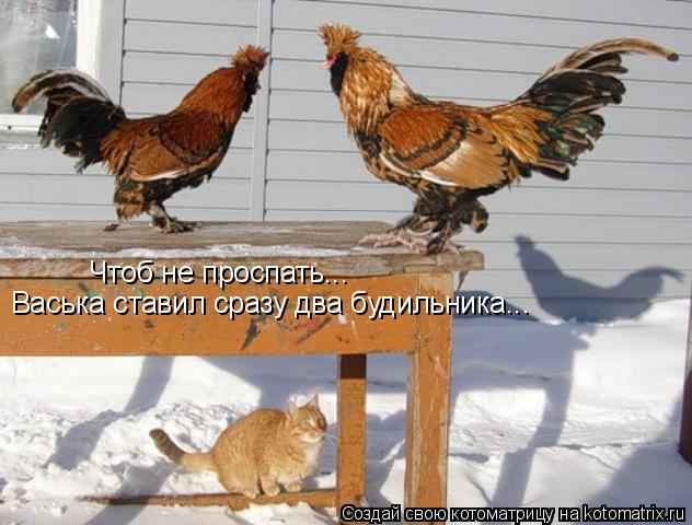Котоматрица: Чтоб не проспать... Васька ставил сразу два будильника...