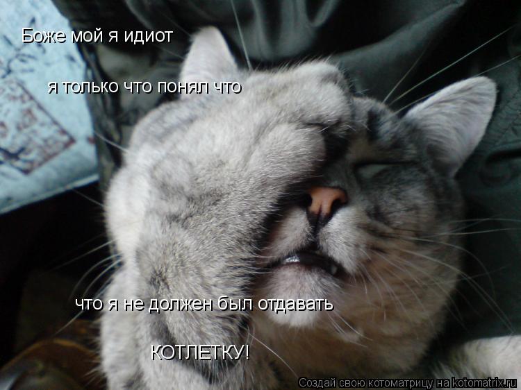 Боже мой я идиот я только что понял что что я не должен был отдавать КОТЛЕТКУ!... Котоматрица: Боже мой я идиот я только что понял что что я не должен был отдавать КОТЛЕТКУ!