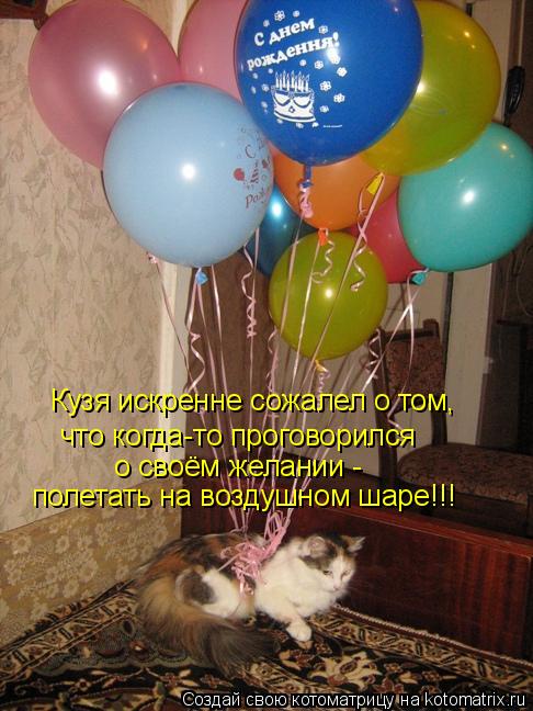 Кузя искренне сожалел о том, что когда-то проговорился о своём желании - полетать на воздушном шаре!... Котоматрица: Кузя искренне сожалел о том, что когда-то проговорился о своём желании - полетать на воздушном шаре!!!