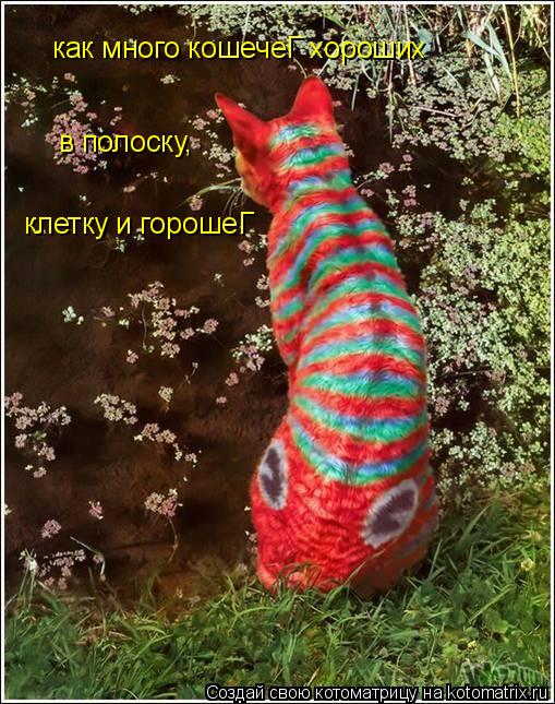 Котоматрица: как много кошечеГ хороших в полоску, клетку и горошеГ