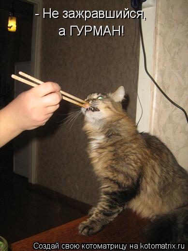 Котоматрица: - Не зажравшийся, а ГУРМАН!