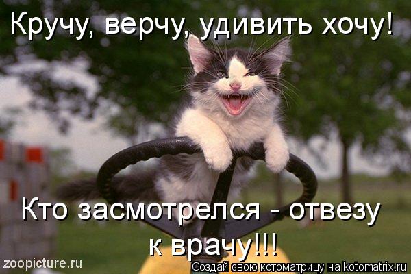 Котоматрица: Кручу, верчу, удивить хочу! Кто засмотрелся - отвезу  к врачу!!!