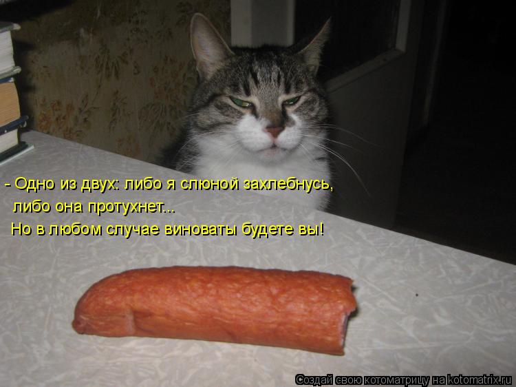 - Одно из двух: либо я слюной захлебнусь, либо она протухнет... Но в любом случае виноваты будете вы!... Котоматрица: - Одно из двух: либо я слюной захлебнусь, либо она протухнет... Но в любом случае виноваты будете вы!