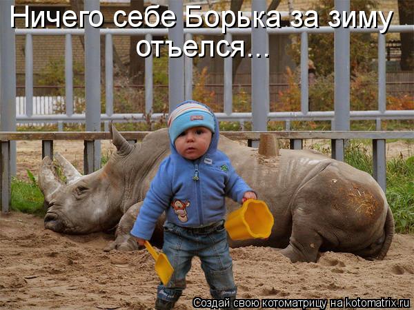 Ничего себе Борька за зиму отъелся...... Котоматрица: Ничего себе Борька за зиму отъелся...