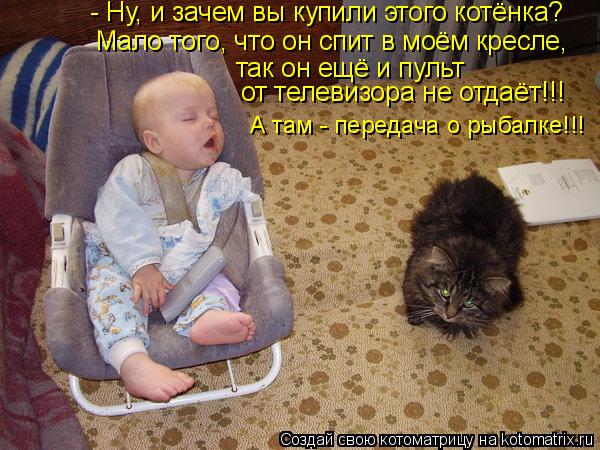 - Ну, и зачем вы купили этого котёнка? Мало того, что он спит в моём кресле, так он ещё и пульт от т... Котоматрица: - Ну, и зачем вы купили этого котёнка? Мало того, что он спит в моём кресле, так он ещё и пульт от телевизора не отдаёт!!! А там - передача о рыба